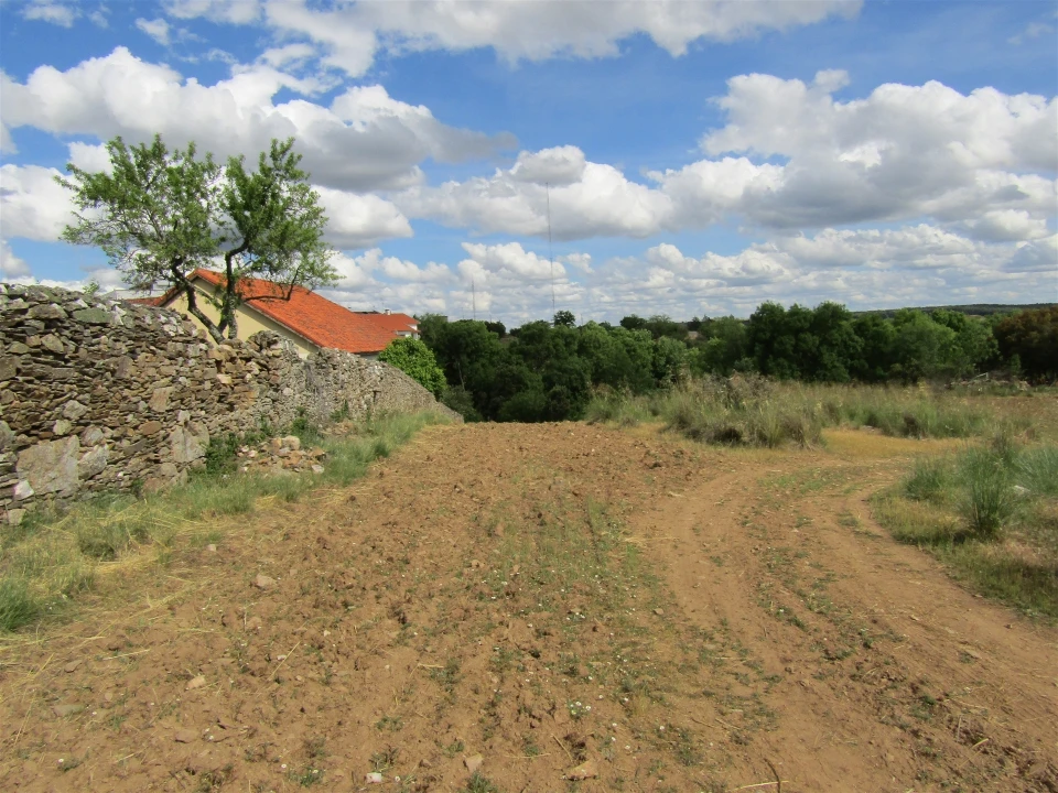 Terreno para Venda em Miranda do Douro Foto 23