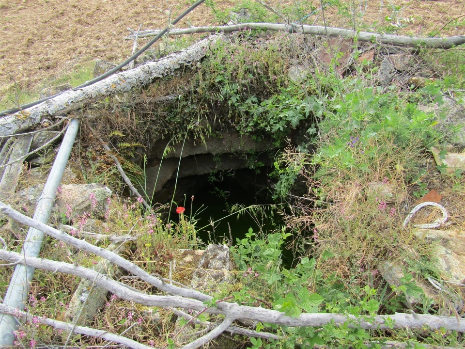 Terreno para Venda em Miranda do Douro Foto 18