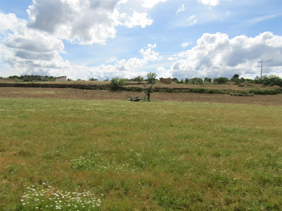 Terreno para Venda em Miranda do Douro Foto 13