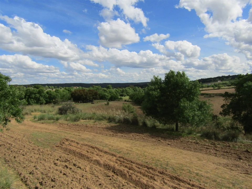 Terreno para Venda em Miranda do Douro Foto 7