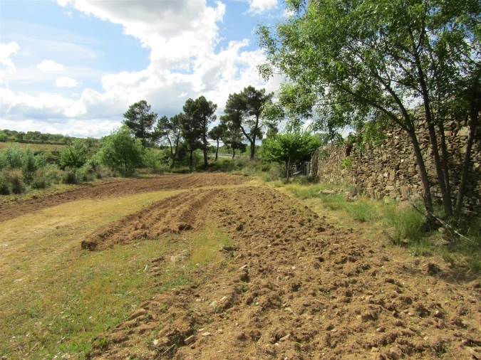 Terreno para Venda em Miranda do Douro Foto 24