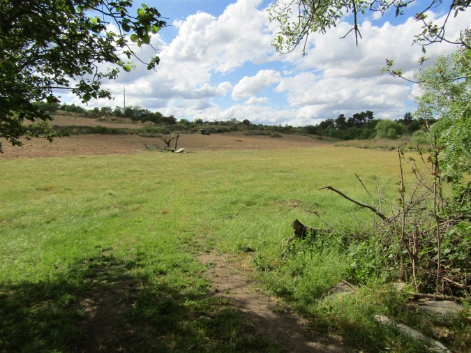 Terreno para Venda em Miranda do Douro Foto 16