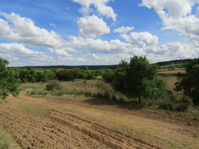 Terreno para Venda em Miranda do Douro Foto 7
