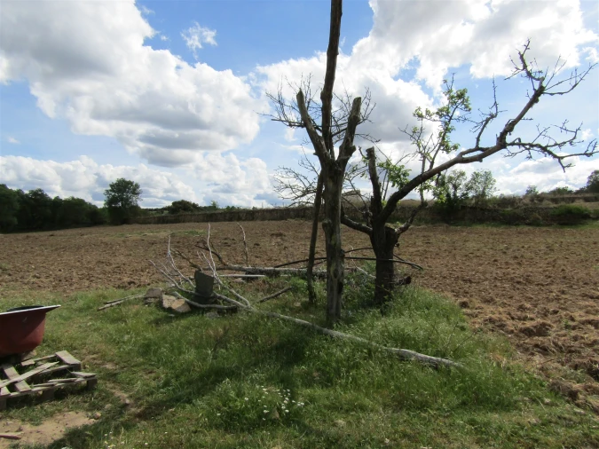 Terreno para Venda em Miranda do Douro Foto 17