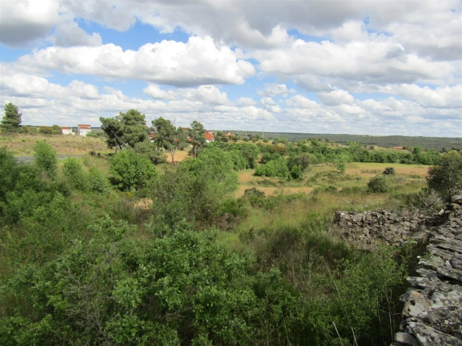 Terreno para Venda em Miranda do Douro Foto 4