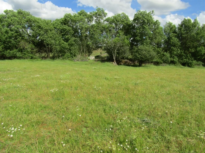 Terreno para Venda em Miranda do Douro Foto 15