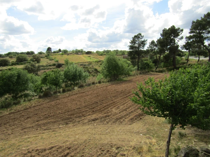 Terreno para Venda em Miranda do Douro Foto 8