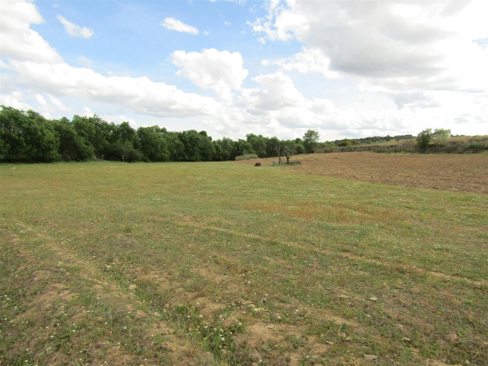Terreno para Venda em Miranda do Douro Foto 2