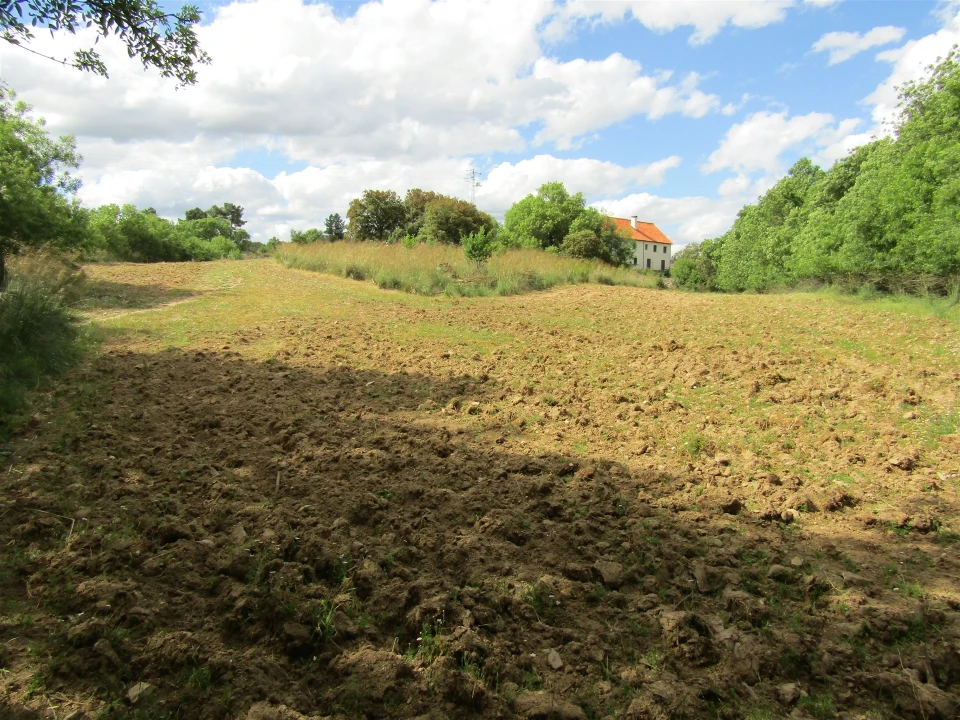 Terreno para Venda em Miranda do Douro Foto 11