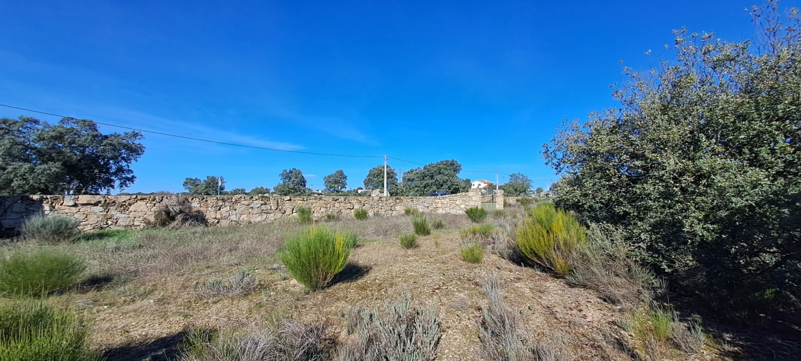 Terreno para Venda em Miranda do Douro Foto 11