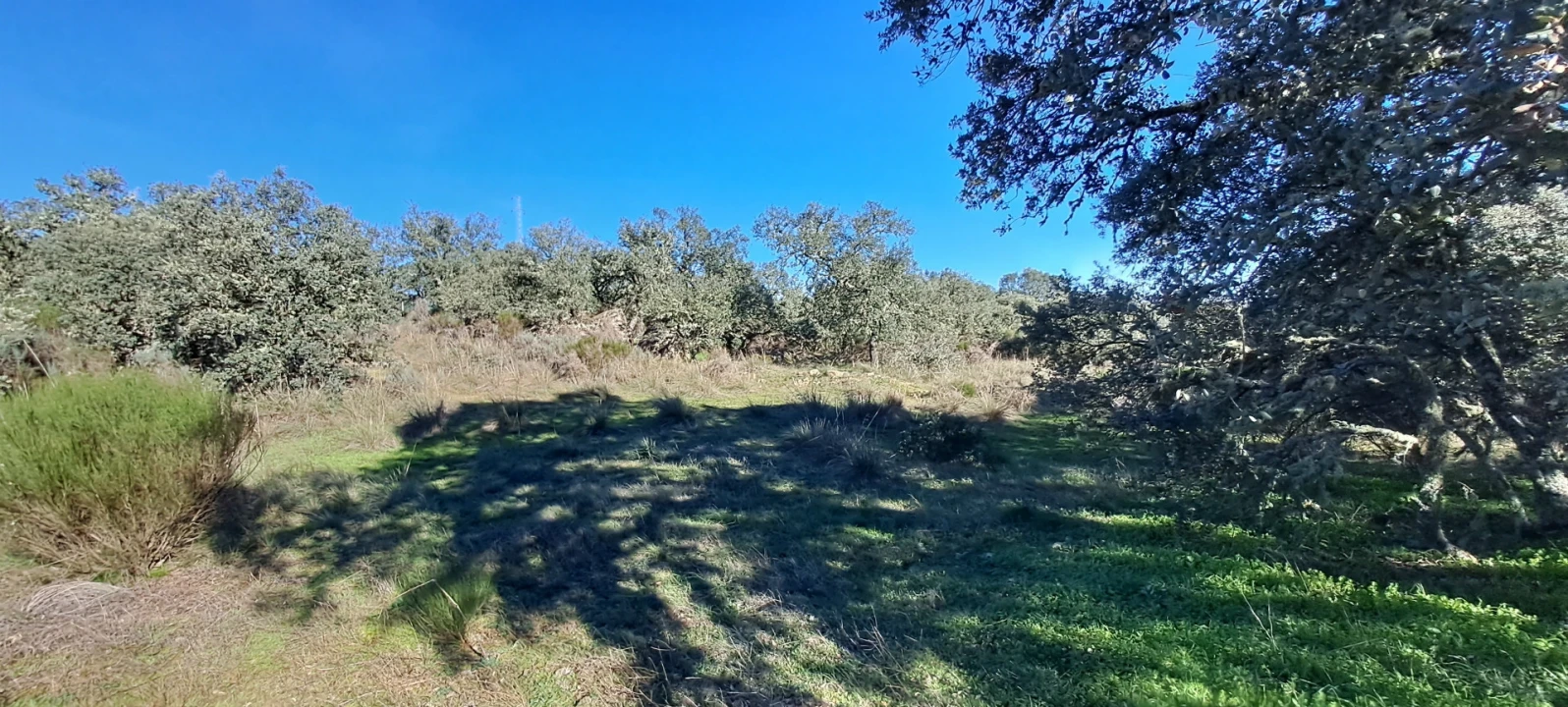 Terreno para Venda em Miranda do Douro Foto 14