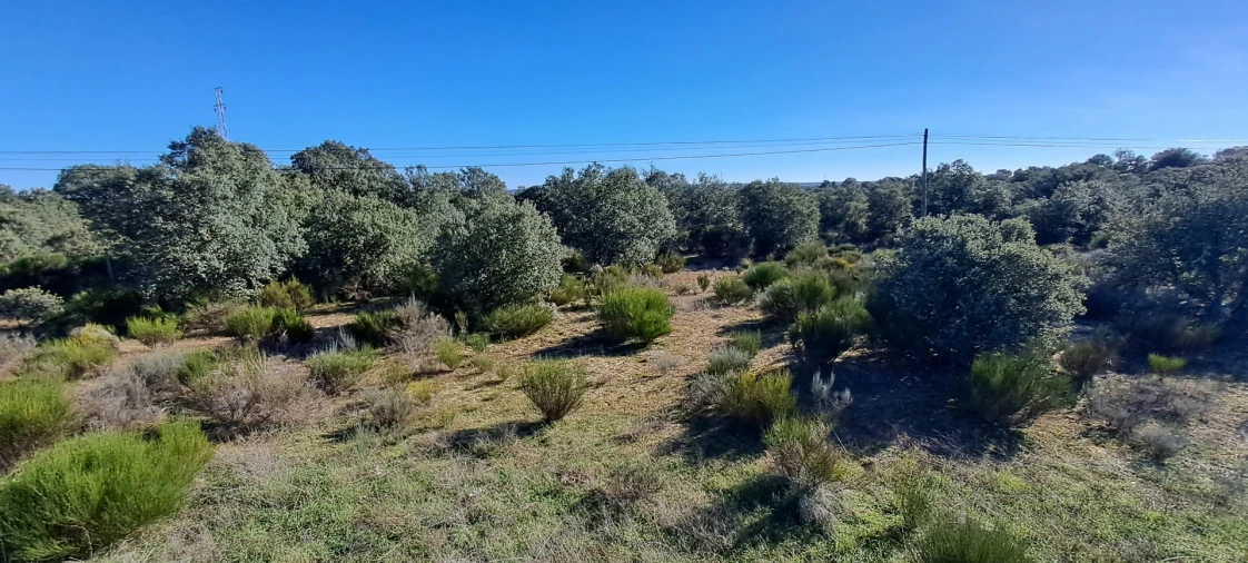 Terreno para Venda em Miranda do Douro Foto 10