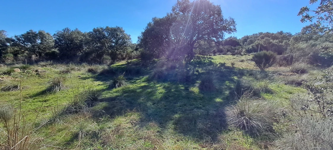 Terreno para Venda em Miranda do Douro Foto 13