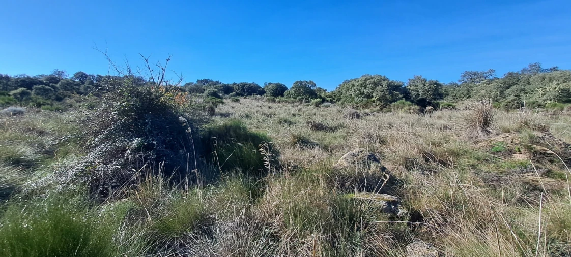 Terreno para Venda em Miranda do Douro Foto 17