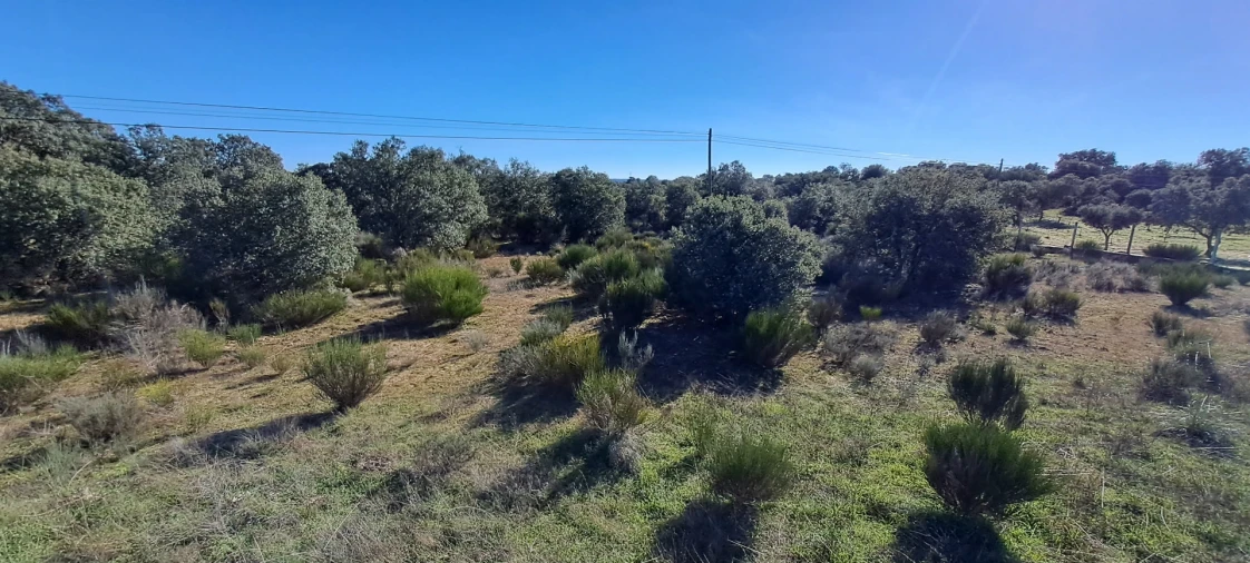 Terreno para Venda em Miranda do Douro Foto 9