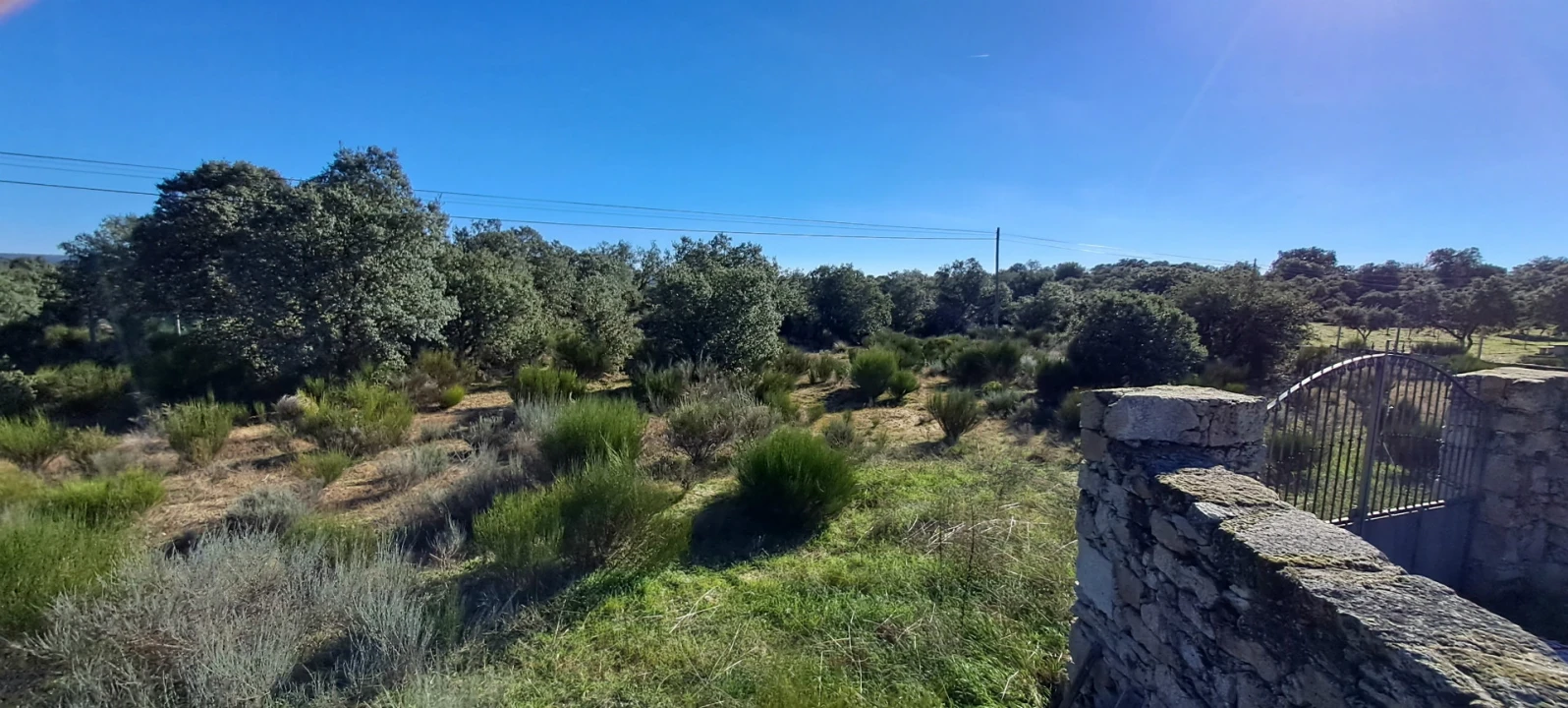 Terreno para Venda em Miranda do Douro Foto 21