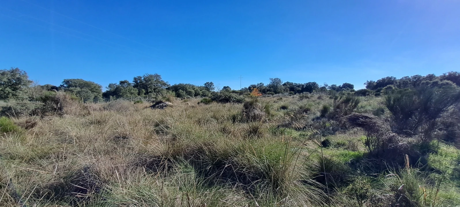 Terreno para Venda em Miranda do Douro Foto 15