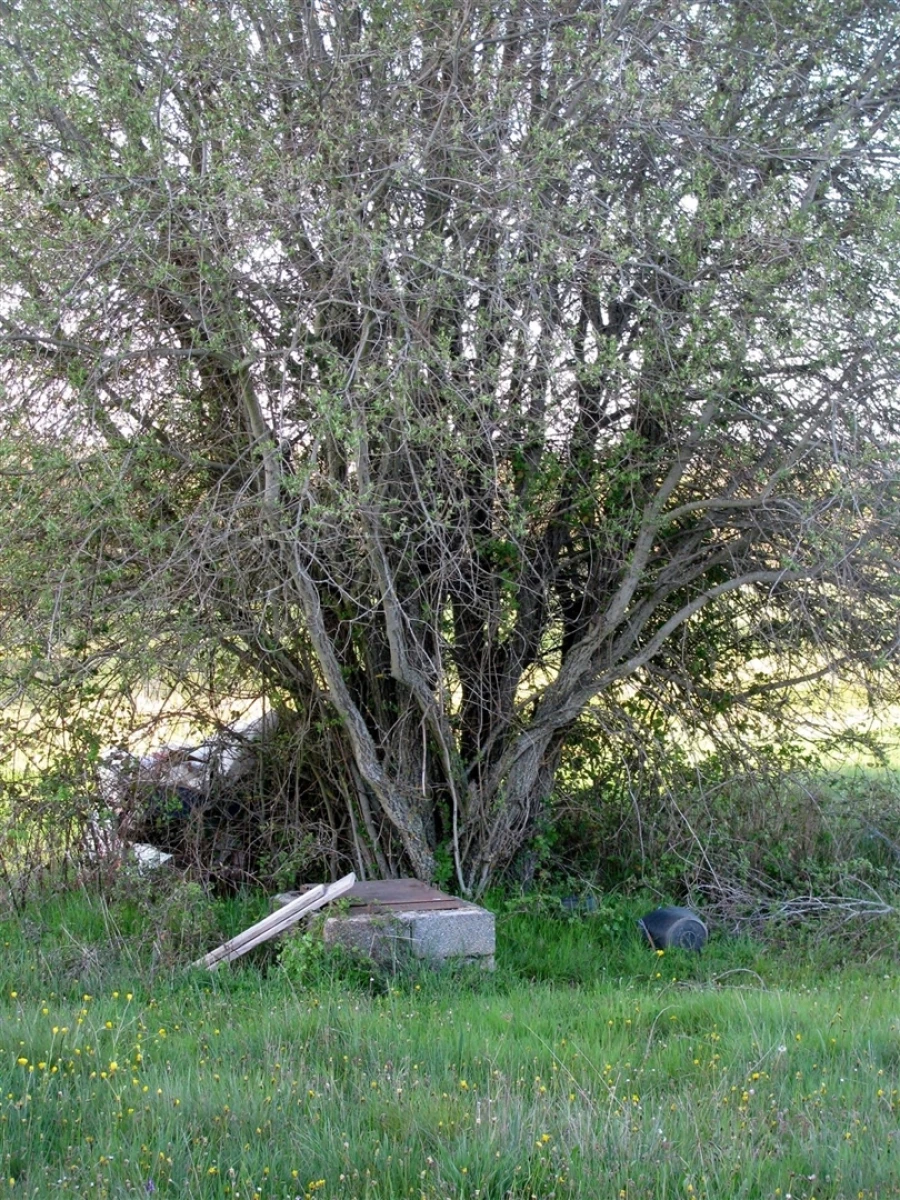 Terreno para Venda em Malhadas Foto 8