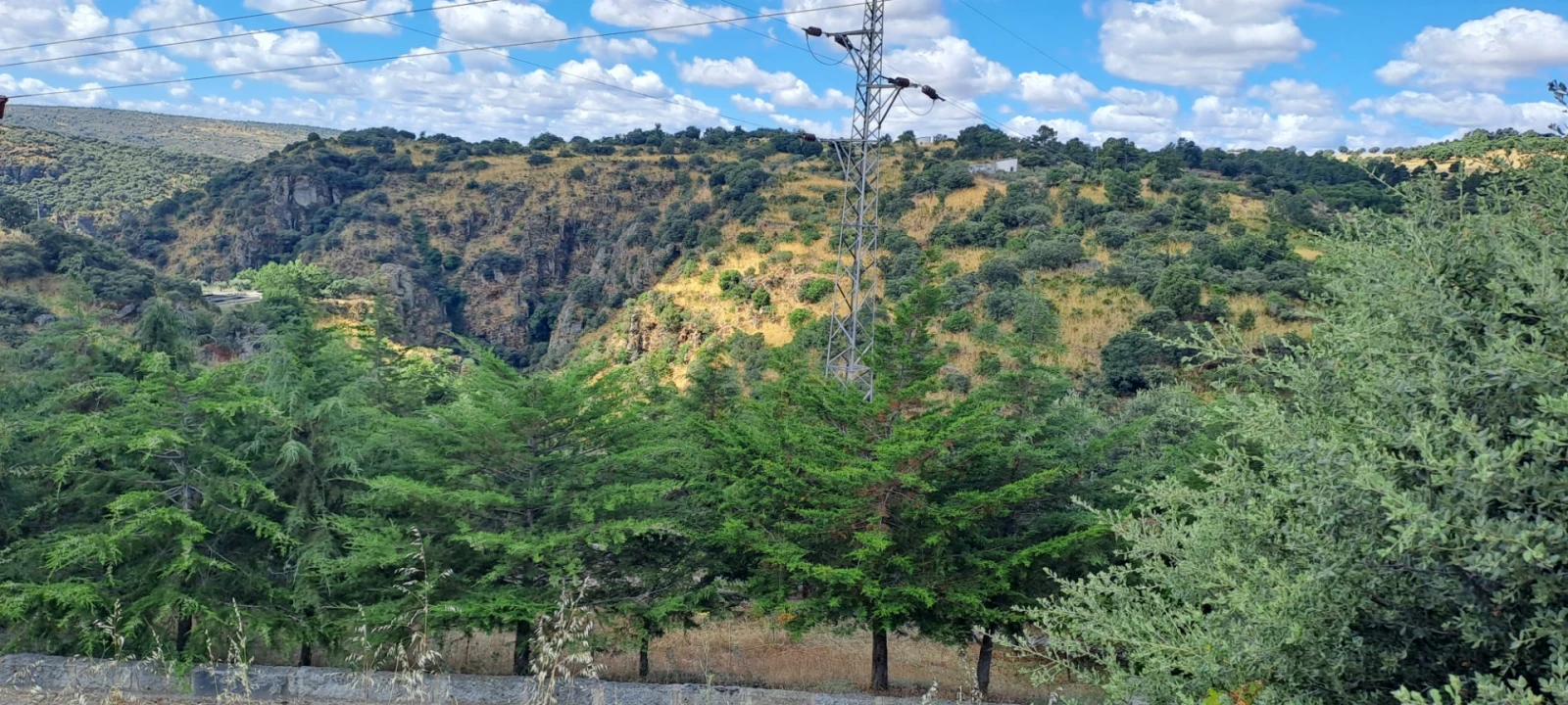 Terreno para Venda em Miranda do Douro Foto 25