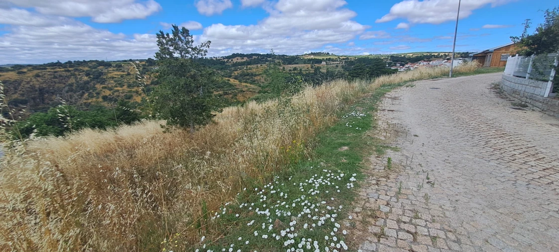Terreno para Venda em Miranda do Douro Foto 7