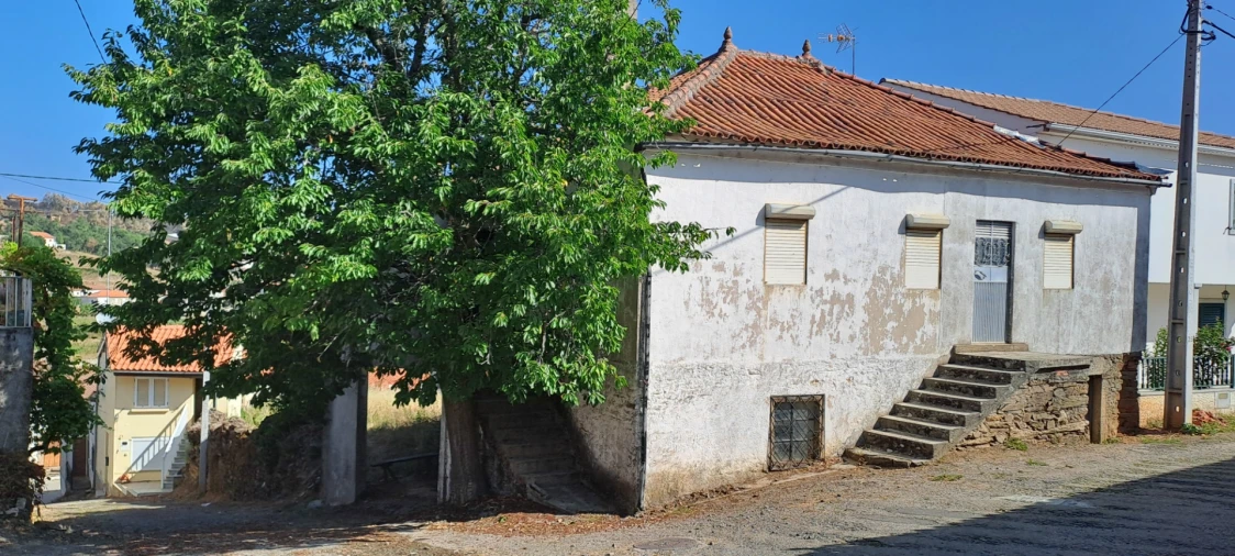 Moradia T4 para Venda em São Martinho de Angueira Foto 6