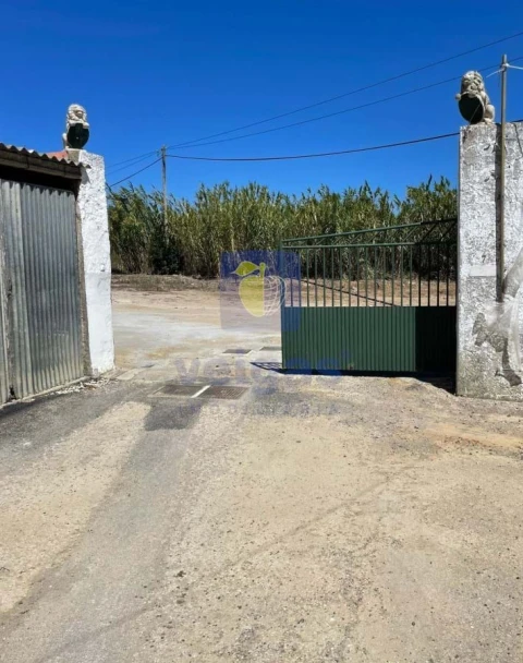 Terreno para Venda em Atouguia da Baleia