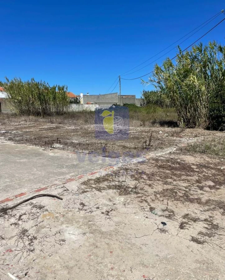 Terreno para Venda em Atouguia da Baleia Foto 13