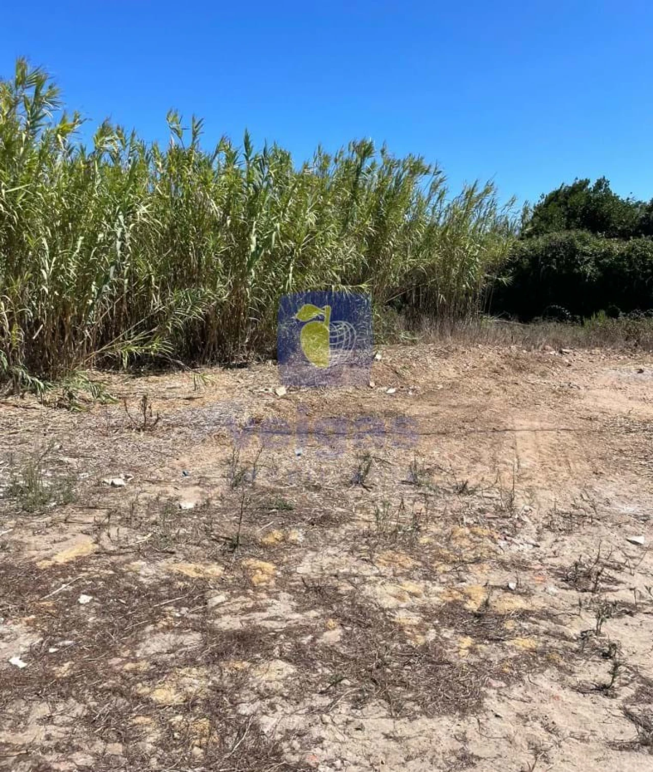 Terreno para Venda em Atouguia da Baleia Foto 14