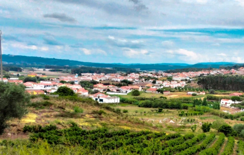 Terreno para Venda em Olho Marinho Foto 5