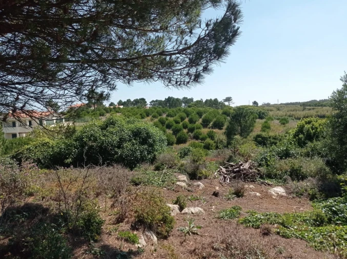 Terreno para Venda em Peniche Foto 2