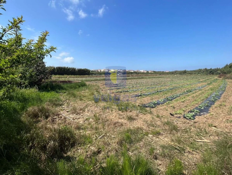 Terreno Agricola ou Rústico para Venda em Atouguia da Baleia Foto 4