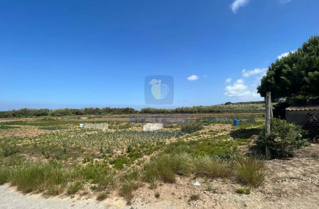 Terreno Agricola ou Rústico para Venda em Atouguia da Baleia Foto 15