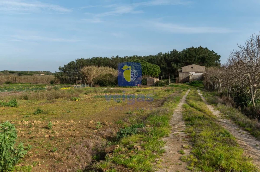 Terreno Agricola ou Rústico para Venda em Atouguia da Baleia Foto 23