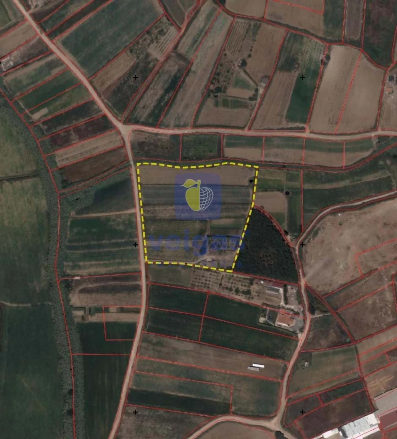 Terreno Agricola ou Rústico para Venda em Atouguia da Baleia Foto 27