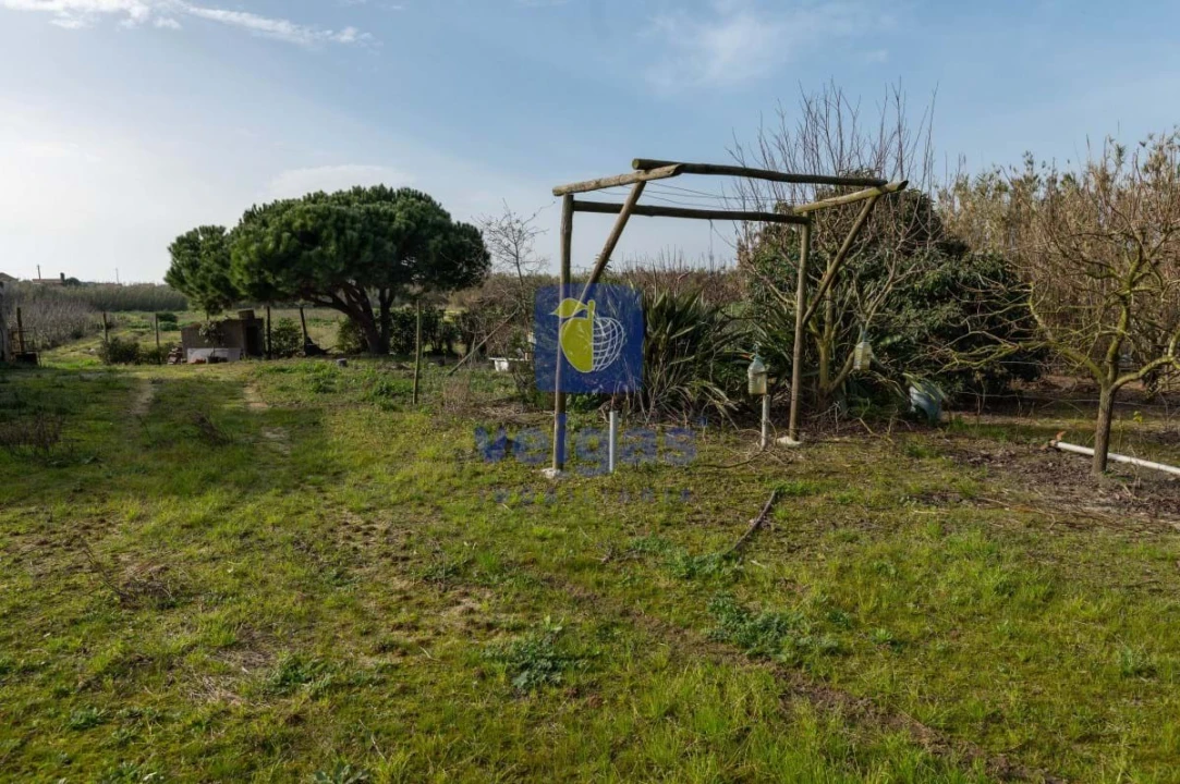 Terreno Agricola ou Rústico para Venda em Atouguia da Baleia Foto 24