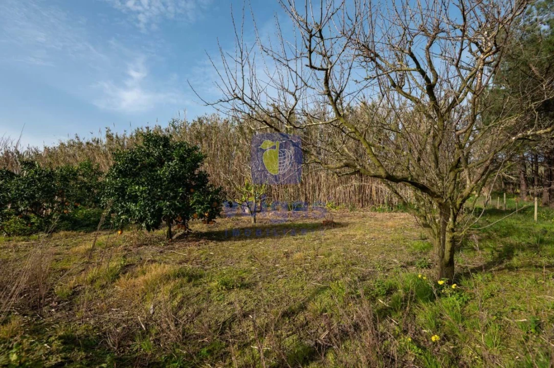 Terreno Agricola ou Rústico para Venda em Atouguia da Baleia Foto 26