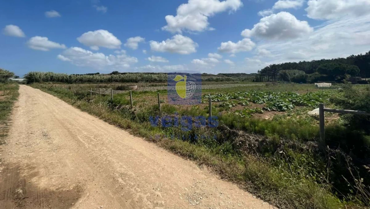 Terreno Agricola ou Rústico para Venda em Atouguia da Baleia Foto 13