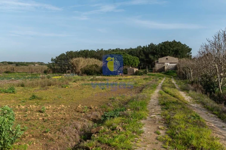 Terreno Agricola ou Rústico para Venda em Atouguia da Baleia Foto 23