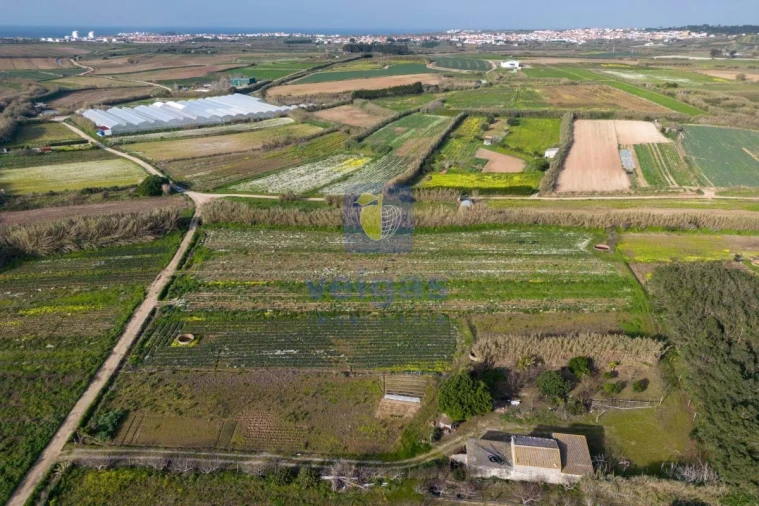 Terreno Agricola ou Rústico para Venda em Atouguia da Baleia Foto 19
