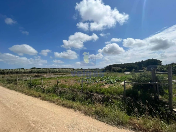 Terreno Agricola ou Rústico para Venda em Atouguia da Baleia Foto 12