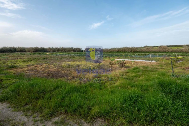 Terreno Agricola ou Rústico para Venda em Atouguia da Baleia Foto 28