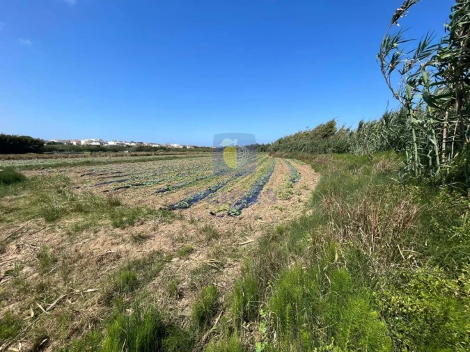Terreno Agricola ou Rústico para Venda em Atouguia da Baleia Foto 5