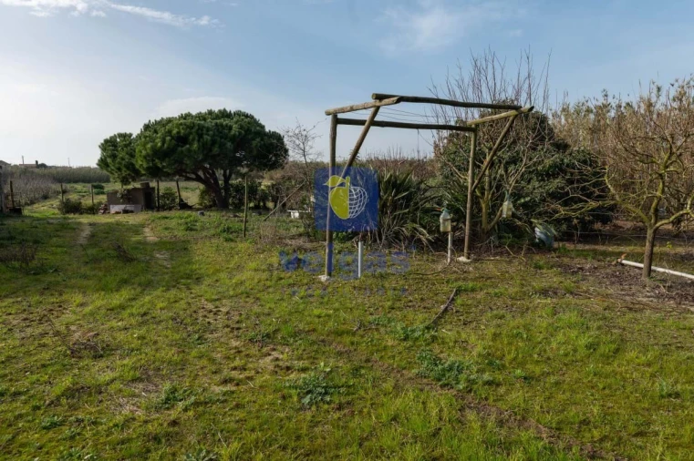 Terreno Agricola ou Rústico para Venda em Atouguia da Baleia Foto 24