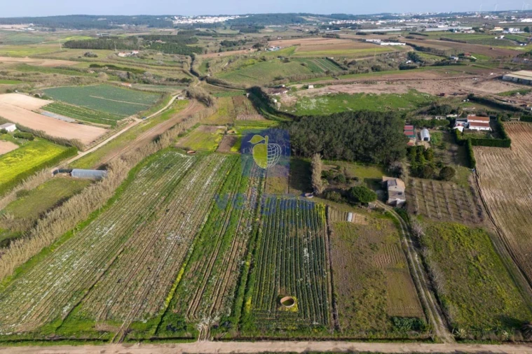 Terreno Agricola ou Rústico para Venda em Atouguia da Baleia Foto 18