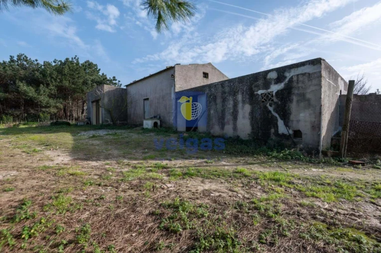 Terreno Agricola ou Rústico para Venda em Atouguia da Baleia Foto 2