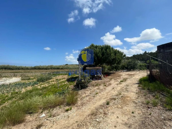 Terreno Agricola ou Rústico para Venda em Atouguia da Baleia Foto 9