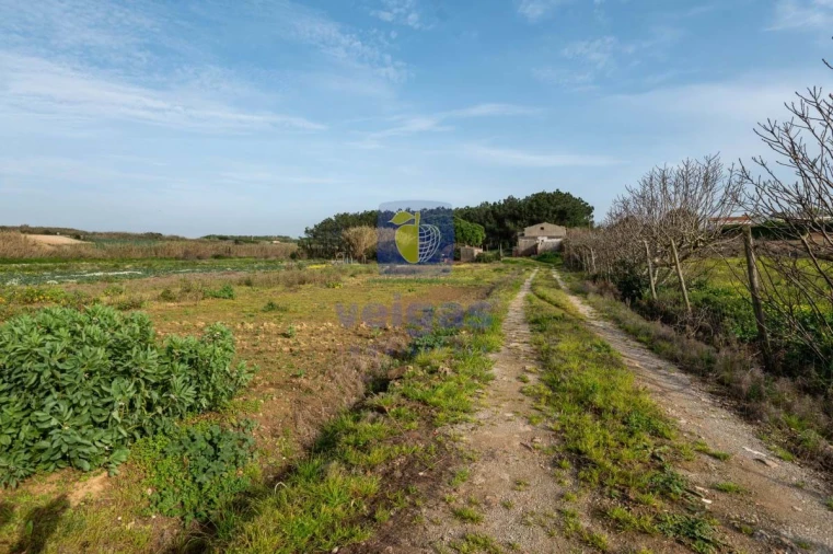 Terreno Agricola ou Rústico para Venda em Atouguia da Baleia Foto 22