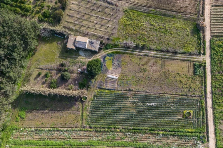 Terreno Agricola ou Rústico para Venda em Atouguia da Baleia Foto 1
