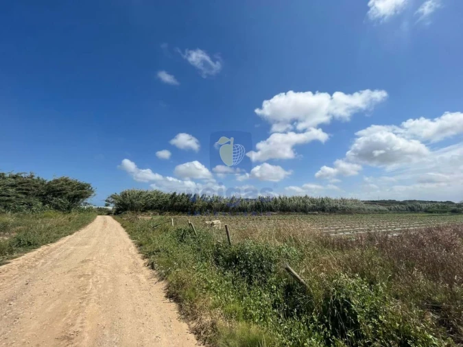 Terreno Agricola ou Rústico para Venda em Atouguia da Baleia Foto 16