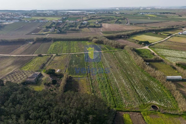 Terreno Agricola ou Rústico para Venda em Atouguia da Baleia Foto 17